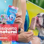 Cómo preparar helados caseros saludables para perros