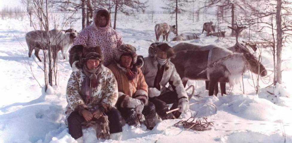 inuit del norte - Aspectos a considerar al adoptar un Northern Inuit del Norte