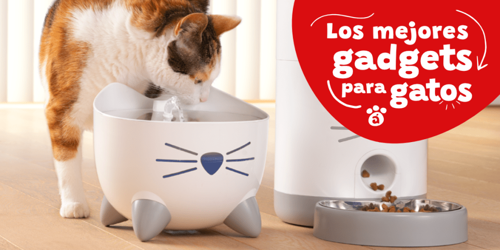 juegos de inteligencia para gatos - Qué juegos de inteligencia pueden entretener a tu gato y estimular su mente