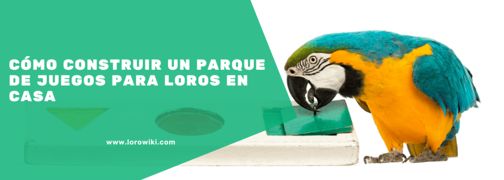 juguetes para loros caseros - Mejores juguetes caseros para loros