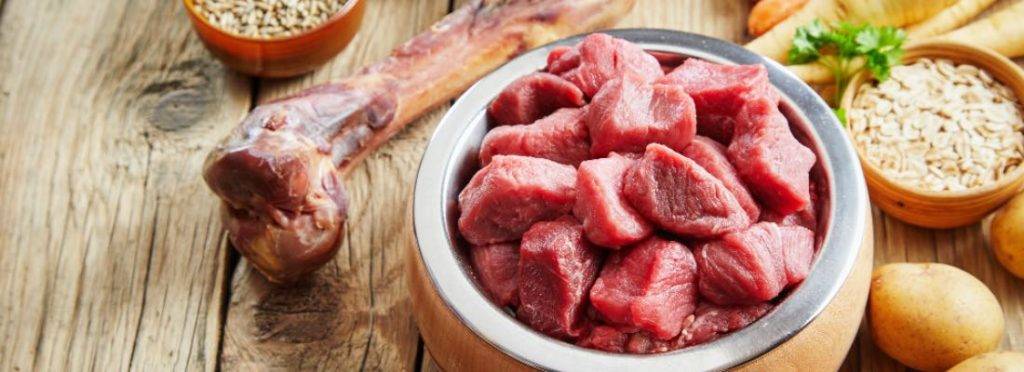 los perros pueden comer carne de cerdo - Es seguro que los perros coman carne de cerdo cocida