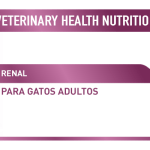 Cuál es el mejor pienso renal para gatos mayores