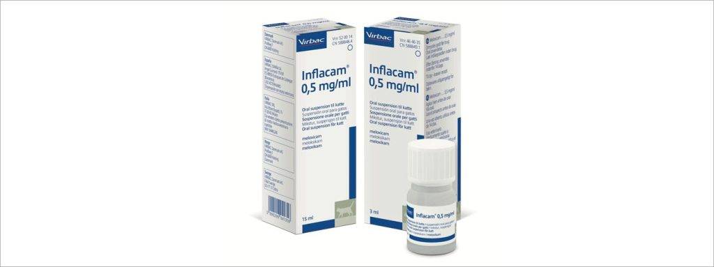 meloxicam para gatos 1 - Meloxicam en gatos: dosis, beneficios y efectos adversos