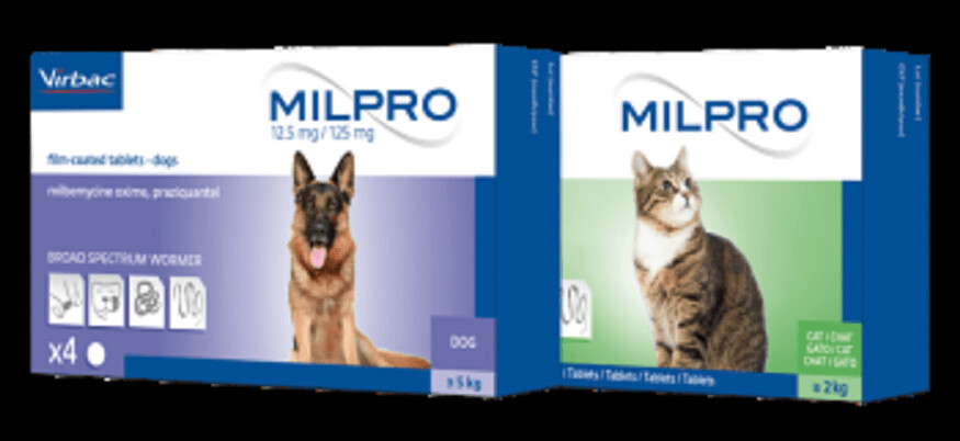 milpro perros dosis - Cómo administrar Milpro a perros de forma adecuada