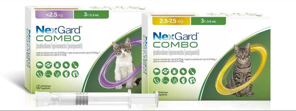 nexgard combo gatos como aplicar - Qué es NexGard Combo para Gatos y cómo se administra