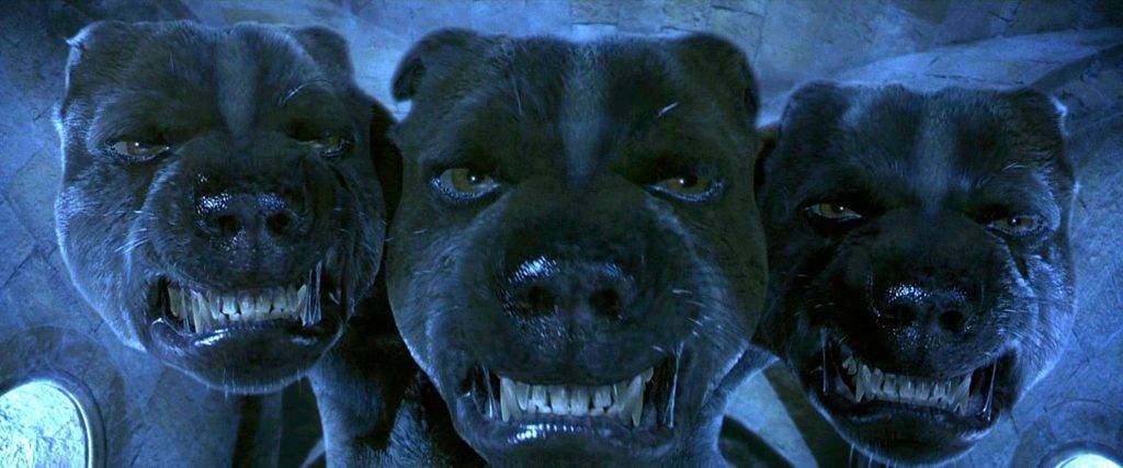 perros de harry potter - Nombres mágicos para perros al estilo de Harry Potter