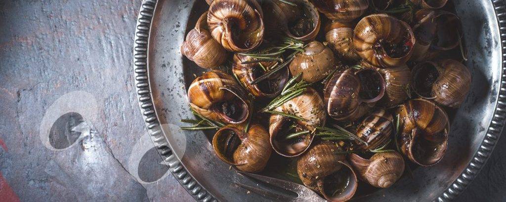 que comen las caracolas de mar - Cuál es la alimentación de los caracoles de mar