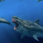 Puedes mencionar 7 especies de tiburones prehistóricos