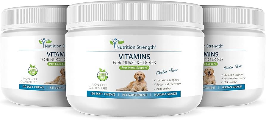 vitamina c para perros - Vitamina C para perros: dosis y administración adecuada